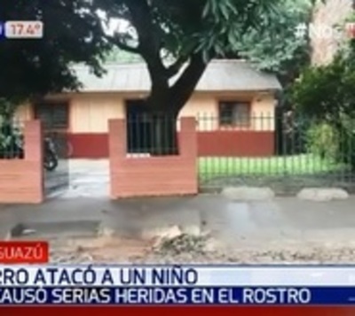 Caaguazú: Perro ataca a niño y lo hiere gravemente en el rostro - Paraguay.com