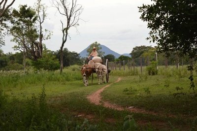 Censo Agropecuario, ¿para qué? - Opinion - ABC Color