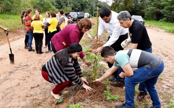 Plantan arbolitos en plazas y avenidas de San Estanislao - Edicion Impresa - ABC Color