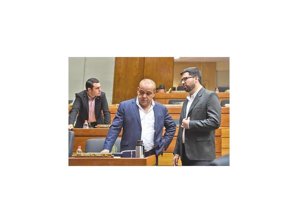 Plantean disminuir el presupuesto de Parlasur para Senadis