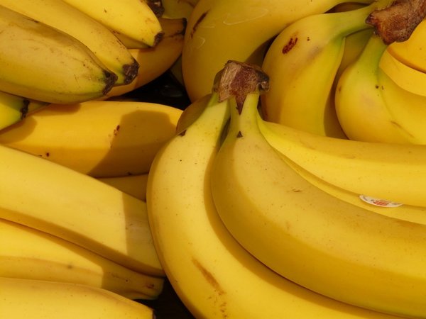 Destacan que banana y seguridad alimentaria mundial van de la mano