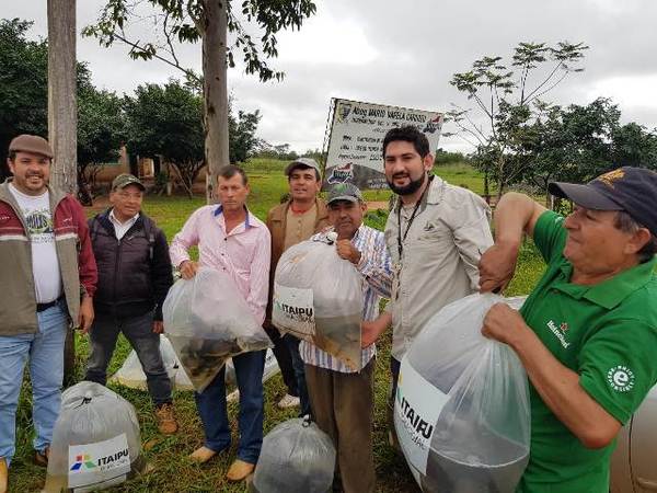 Labriegos de Mbaracayú ahora se dedican a la cría de peces - ADN Paraguayo