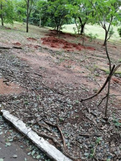 Penoso estado de parque - Cronicas Ciudadanas - ABC Color