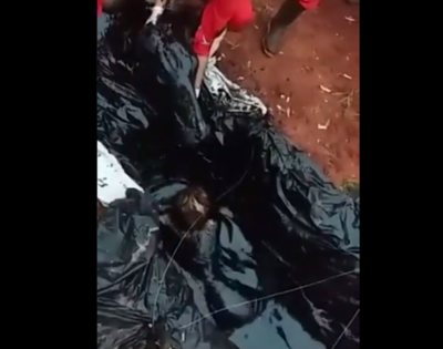 Caazapá: Imputan a estudiantes por violento “bautismo”