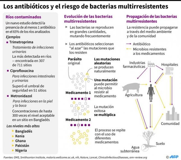 Uso abusivo de antibióticos acelera su ineficacia ante bacterias mutadas - Edicion Impresa - ABC Color