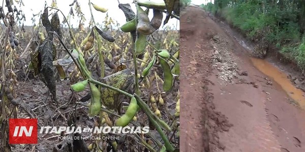 TRP: LLUVIAS DEJAN MILLONARIAS PÉRDIDAS EN LA AGRICULTURA.