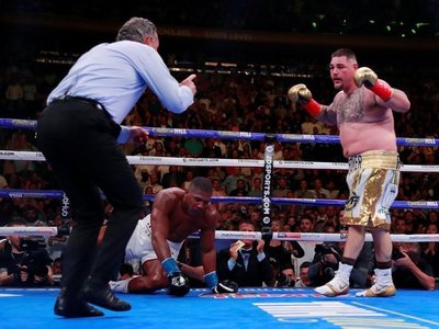 "Gordito" hace historia en el boxeo mundial