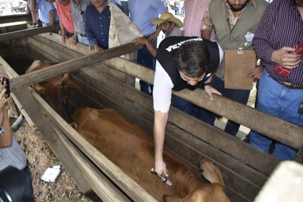 Inicia  el segundo periodo de vacunación contra la aftosa y brucelosis