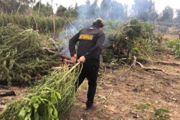 Buscan integrar fuerzas para combatir el narcotráfico