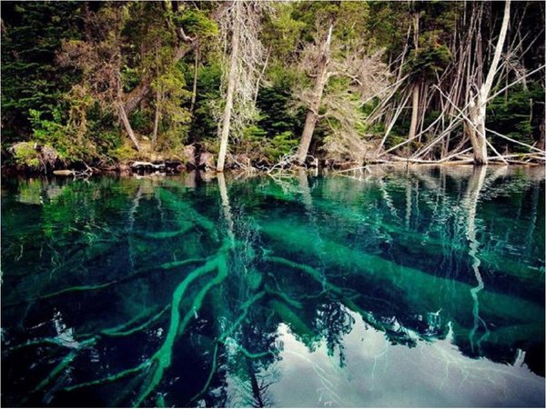 El bosque argentino que podría causar un tsunami