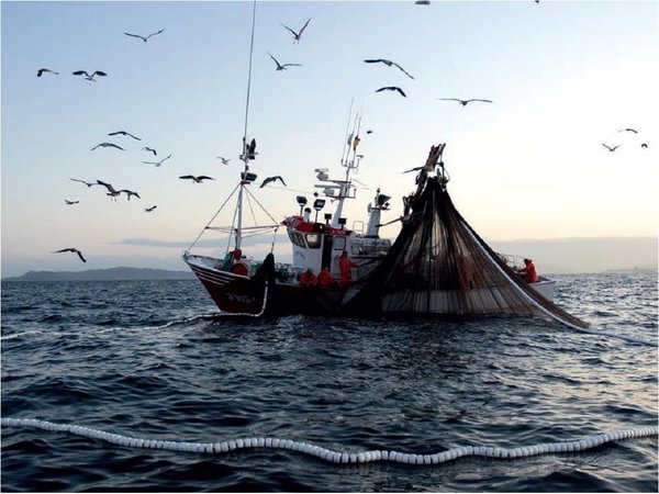 Más de 100 países acuerdan acabar con millones de toneladas de pesca ilegal