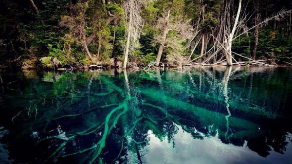 El bosque argentino que podría causar un tsunami