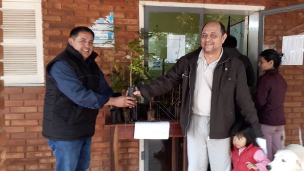 Entregaron plantines de árboles nativos para reforestar San Pedro