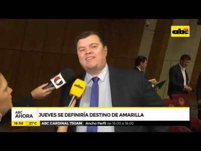 Jueves se definirá el destino de Amarilla - Tv - ABC Color