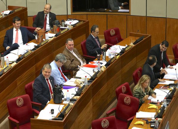 Honor Colorado apoya pérdida de investidura del senador Amarilla