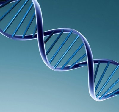 Desarrollan un nuevo modelo matemático para ver cómo interactúan los genes - Ciencia - ABC Color