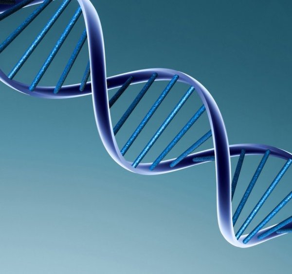 Desarrollan un nuevo modelo matemático para ver cómo interactúan los genes - Ciencia - ABC Color