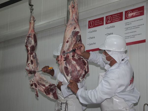 Chile suspendió la importación de carne brasileña