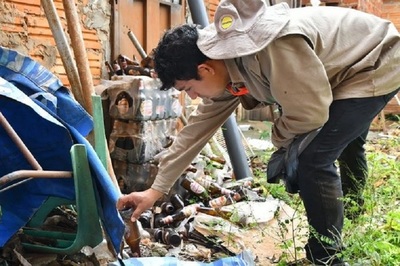 Alto Paraná: Más de 400 mil criaderos eliminados en mayo - ADN Paraguayo