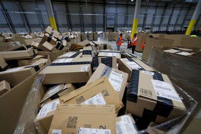 Francia quiere prohibir destrucción de productos no alimenticios invendidos