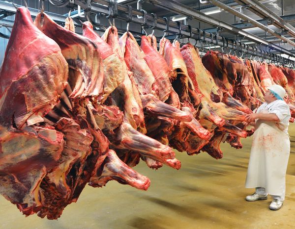 Senacsa: exportación de carne tuvo un buen repunte en mayo