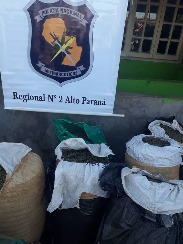 Allanan supuesto laboratorio de marihuana en Alto Paraná
