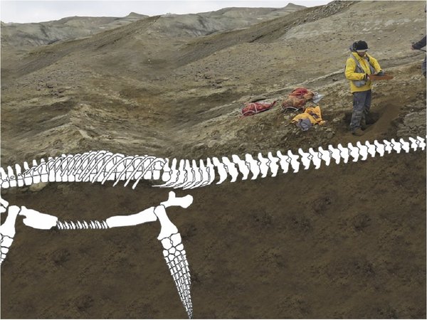Reptil gigante hallado en Antártida vivió poco antes de la gran extinción