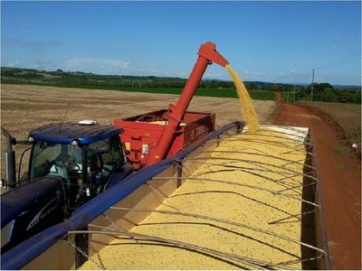 Sector productivo necesita USD 250 millones para próxima siembra