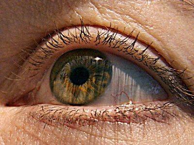 Descubren mutación de gen que causa distrofia macular de la retina