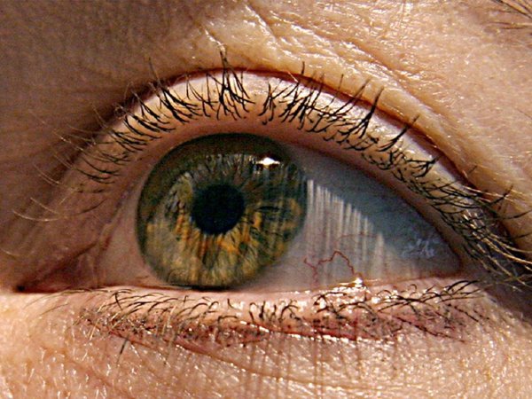 Descubren mutación de gen que causa distrofia macular de la retina