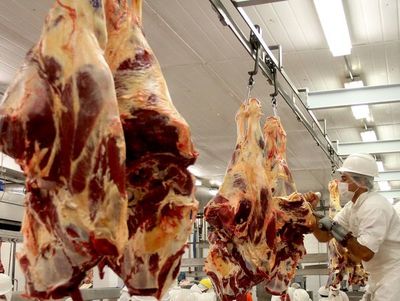 Propondrán nueva estrategia de control de ingreso ilegal de carne