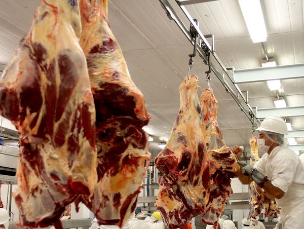 Propondrán nueva estrategia de control de ingreso ilegal de carne