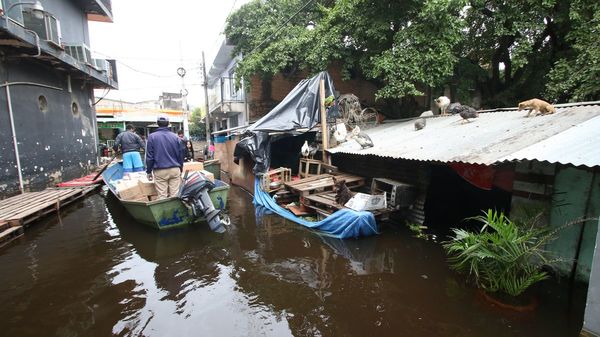 Inundación: Muchos animales están abandonados en Chaco’i