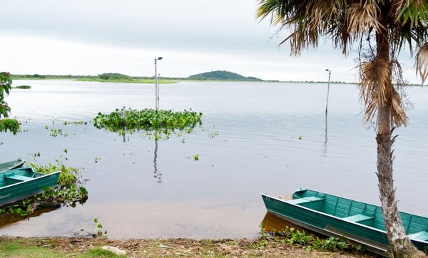 Desciende nivel del río en el Pantanal - Edicion Impresa - ABC Color