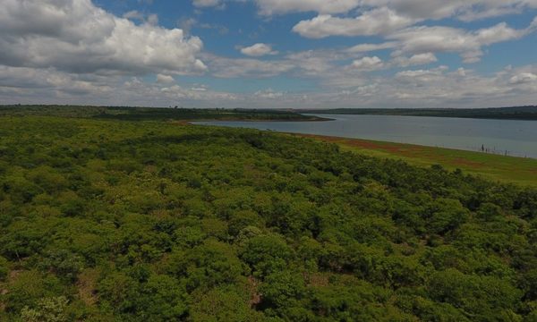 Compromiso ambiental de Itaipú asegura protección y conservación del patrimonio natural del país