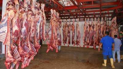 Faenadores quieren control del ingreso de carne de contrabando