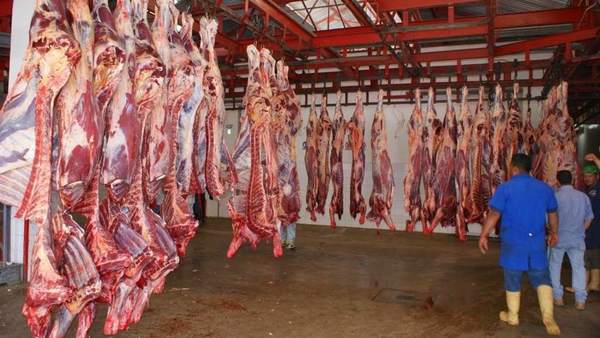 Faenadores quieren control del ingreso de carne de contrabando