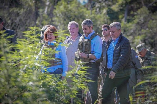 Abdo Benítez derriba marihuana y dice nunca haber probado la hierba