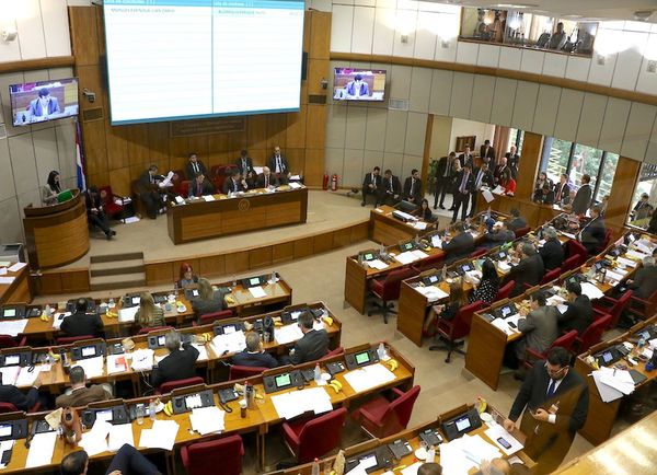Escraches hacen “tambalear” al poder por falta de apoyo popular