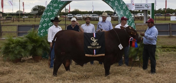 Grandes campeones de la Expo Pioneros 2019 - Edicion Impresa - ABC Color