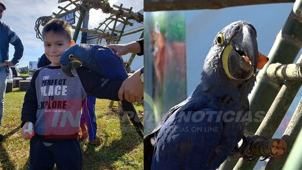GUA’A HOVY FUE FUROR EN LA MUESTRA AMBIENTAL DE LA RÉPLICA DEL FERROCARRIL.