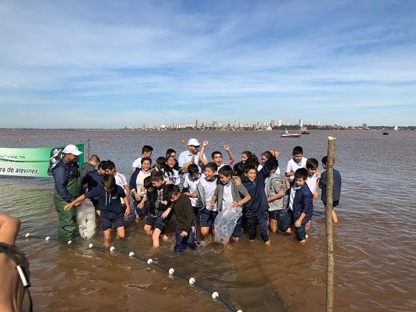 SIEMBRAN ALEVINES EN EL RÍO PARANÁ
