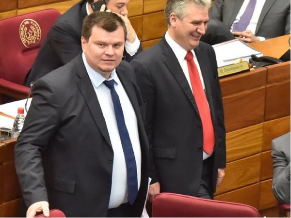 Solicitan sesión extraordinaria para tratar pérdida de investidura de Amarilla