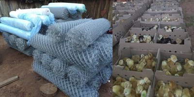MAG ENTREGA INSUMOS Y APORTES A FAMILIAS DEL COMITÉ DE PRODUCTORES DE SAN PEDRO DEL PARANÁ