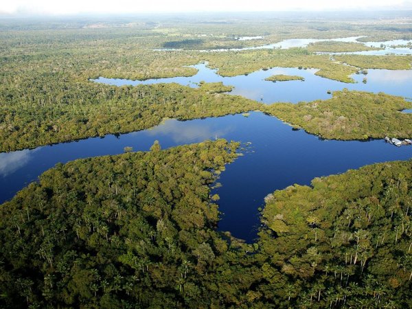 El 68% de las áreas de conservación en la Amazonía están en riesgo