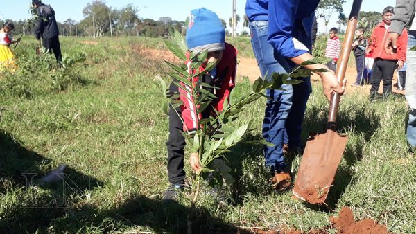 Plantaron más de 200 árboles nativos en San Pedro