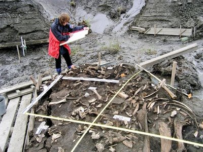 Descubren un nuevo grupo humano que vivió en la Edad de Hielo