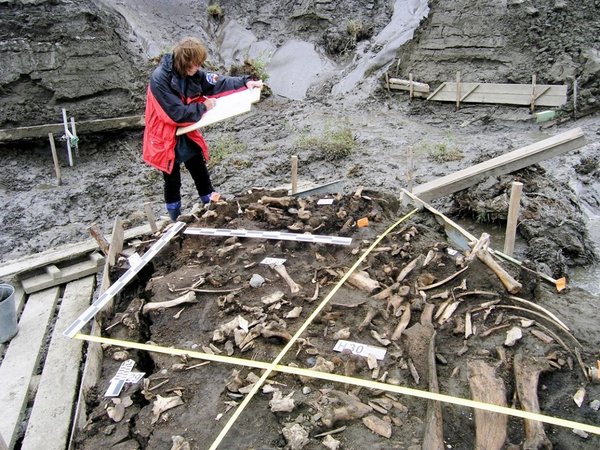 Descubren un nuevo grupo humano que vivió en la Edad de Hielo