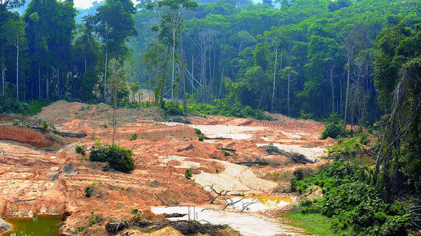 Deforestación del Amazonas llega a niveles alarmantes con Jair Bolsonaro - ADN Paraguayo