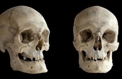 Encuentran misterioso cráneo alargado: tendría unos 1.000 años de antigüedad - C9N